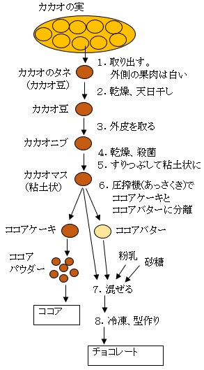 カカオ、チョコレート 全体フロー