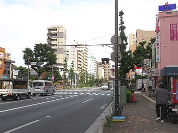 エノキ、一里塚